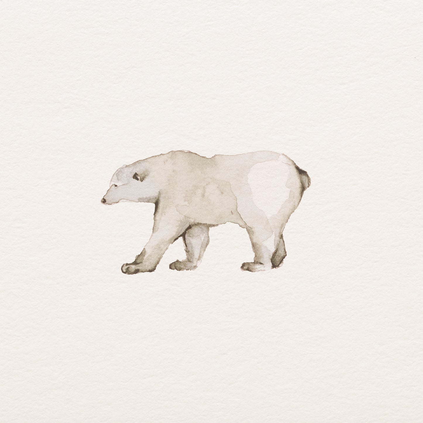 The Little Polar Bear