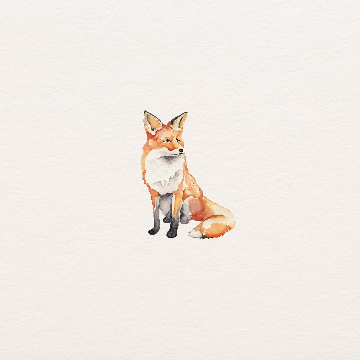 The Little Fox