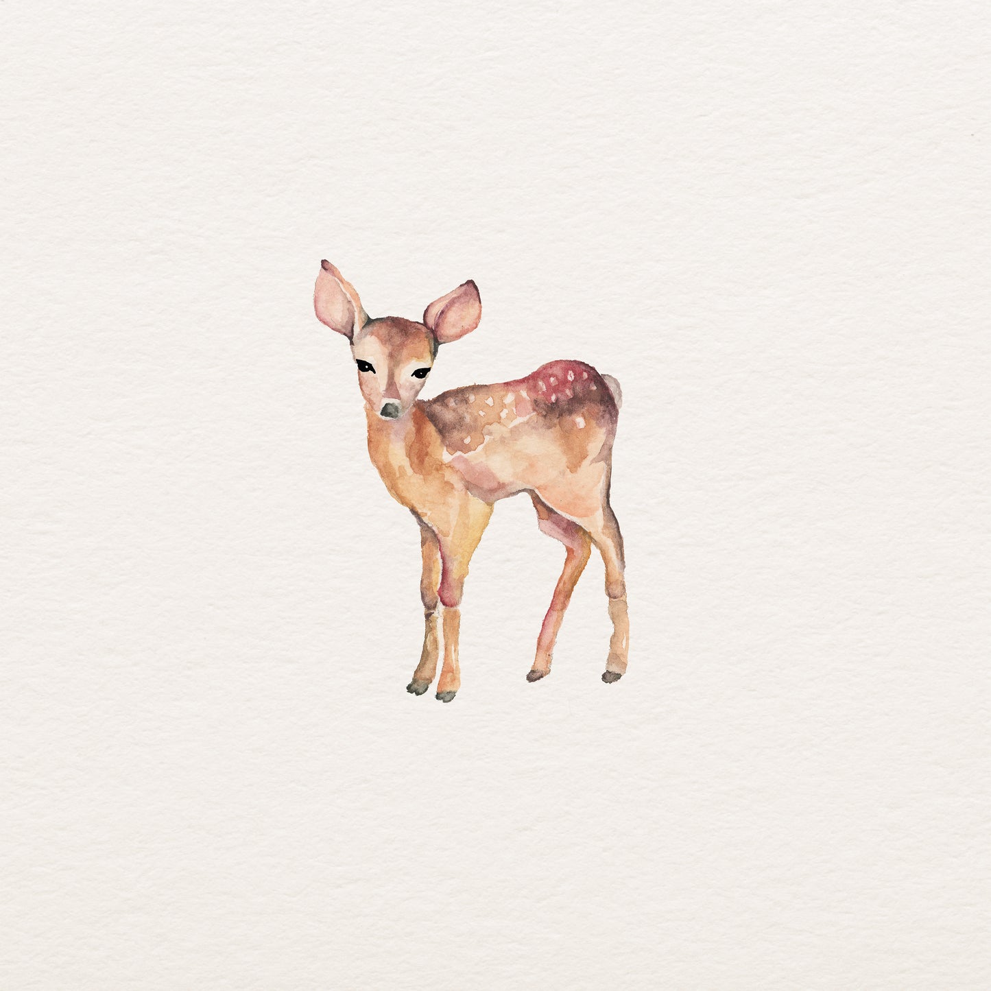 The Little Deer