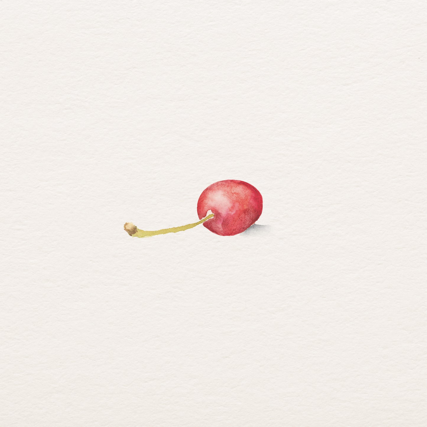 The Solo Cherry